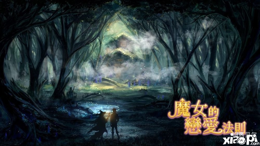 魔女探秘魔女，神秘与魅力交织的奇幻存在
