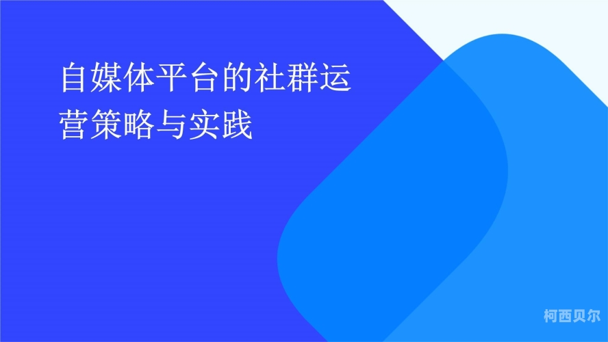平台深度解读，主流自媒体平台的独特魅力与运营策略