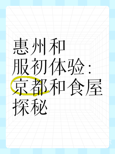 手机版探秘手机版应用，全方位解析与实用指南