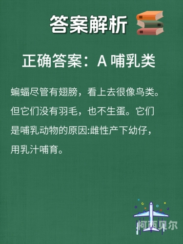 information探索信息的奥秘，从定义到应用，解锁无限可能