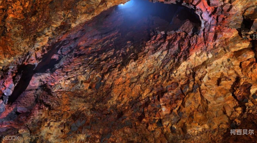 全面解析火山石幼龙，珍稀宠物的秘密世界火山石幼龙成就攻略