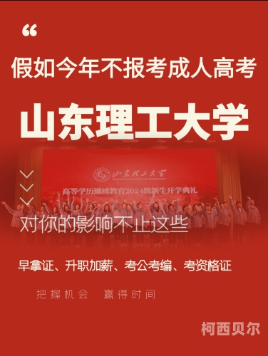 国产成人精品，探索中国成人教育的发展与未来