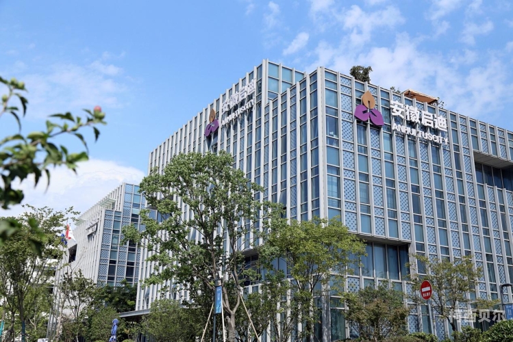 综合精品一区二区，城市发展新引擎，生活品质再升级