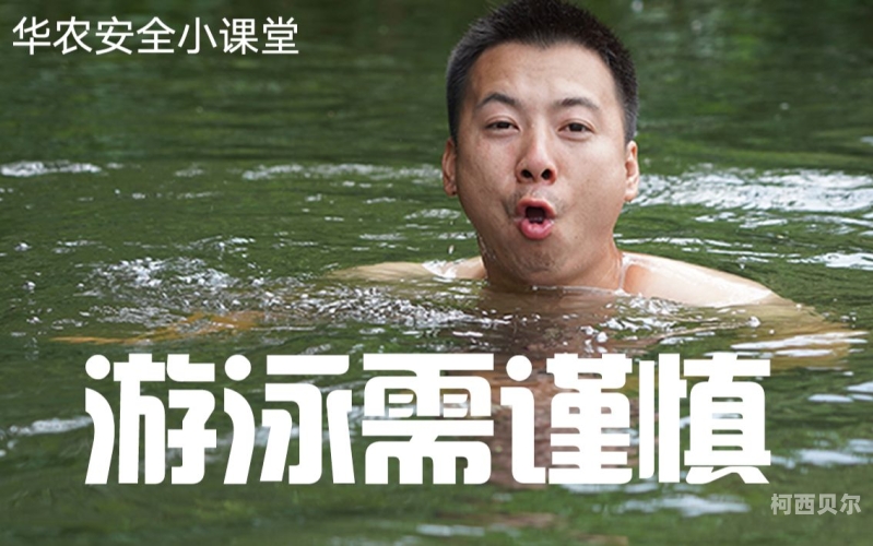 99视频精品全部免费免费观99视频精品全部免费观看 - 合法途径与安全指南