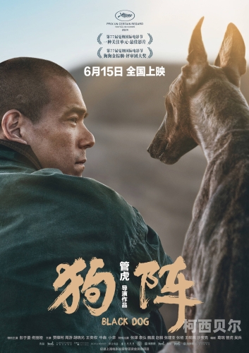 亚洲国产精品电影在线观看亚洲国产精品电影在线观看指南，2024年最新推荐与观影平台分析