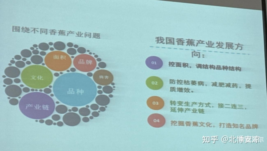 香蕉亚洲一级国产欧美香蕉亚洲，国产与进口的多元文化融合