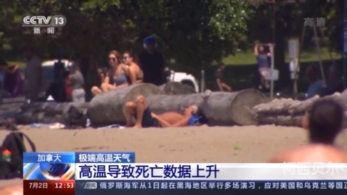 亚州AV综合色区无码一区，探索多元文化下的视频分享平台亚州AV综合色区无码一区二区三区