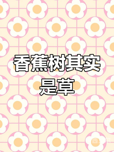 98香蕉草草视频在线精品看98香蕉草草视频在线精品推荐
