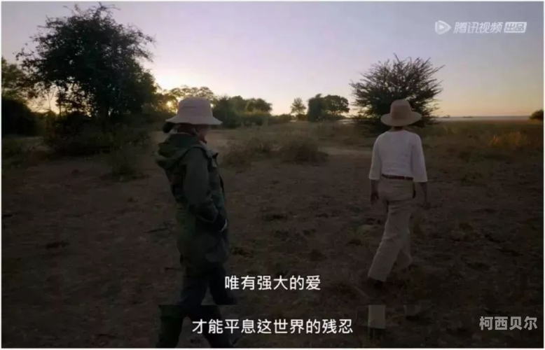国产人碰人摸人爱免费视频国产热门视频推荐，人碰人、摸人、爱免费看