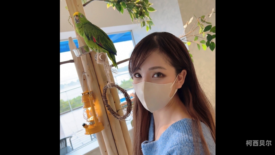 国产日韩AV无码免费一区二区，探索性新闻资讯国产日韩av无码免费一区二区