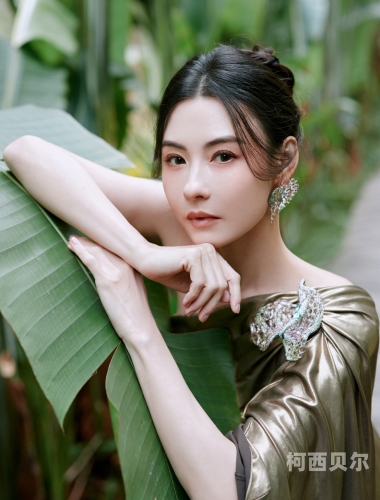 张怕芝A级毛片，神秘魅力与艺术探索