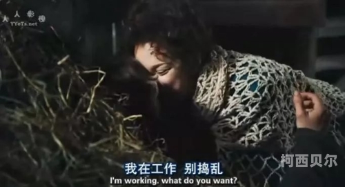 真人爱爱视频热潮，探索69试平台背后的故事与角色设定