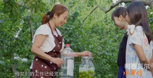 无码又爽又刺激A片涩涩百度搜索热门文章标题，无码刺激A片体验，感官盛宴中的涩涩快感