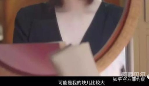全篇肉n小说微胖h全篇肉x微胖h角色设定与故事梗概