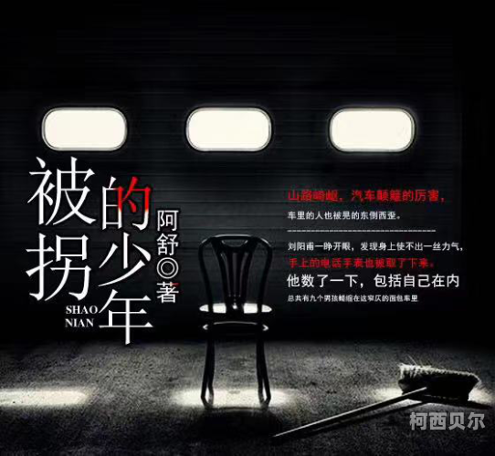成人AV有声小说，探索网络文学的新领域有声小说api接口