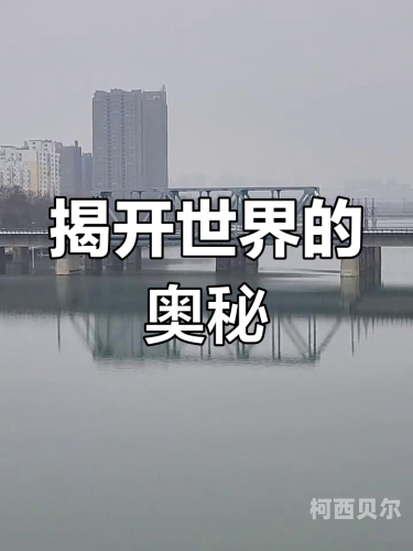 午夜成人国产理论片，探索未知的神秘世界