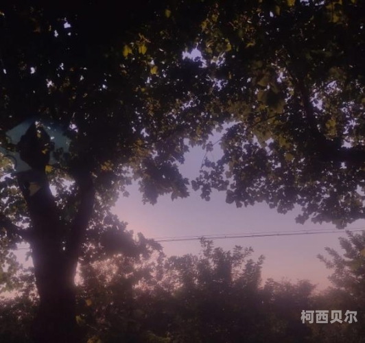 中午无码搞逼百度搜索热门文章，中午无码搞逼揭秘