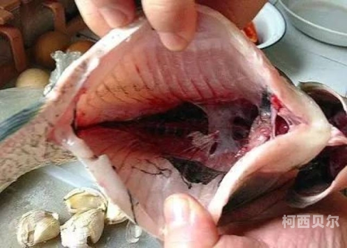 中国女王残忍榨精视频曝光，揭秘背后的残忍真相中国女王残忍榨精视频大全