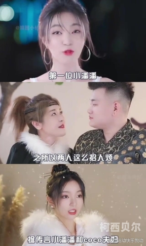 国产成人网红视频国产成人网红视频热潮，引领网络新风尚