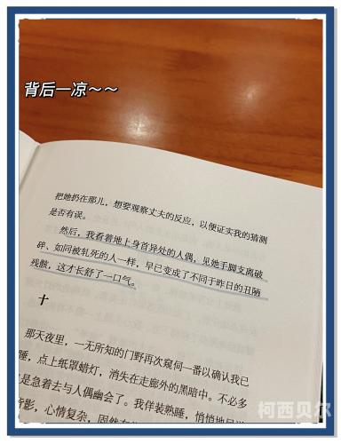 高潮呻吟求饶，视频小说大赏