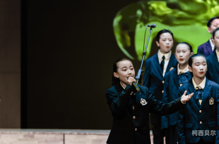 双飞国产新篇章，探索xx国产的魅力与未来双飞的价格