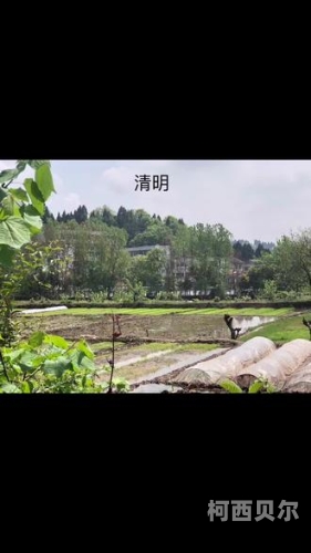 精品汇聚，久久相伴——探索无码人麦热背后的故事