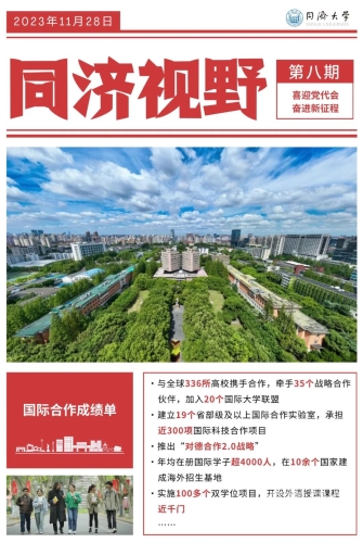 成人在线理论片，探索网络世界的深度与广度
