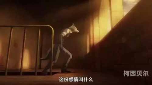 成人 在线播放成人在线播放，网络新闻资讯中的新趋势