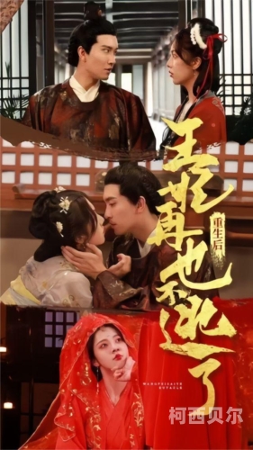 亚洲中文字幕精品无码APP介绍