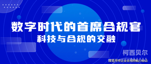精品国产免费网站入口，引领您探索数字时代的网络世界