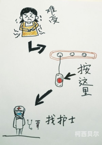 护士少妇与千乐网，一场激情与文字交织的探索