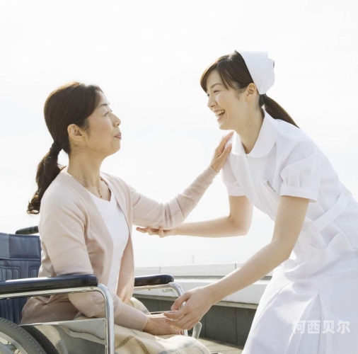 护士少妇与千乐网，一场激情与文字交织的探索