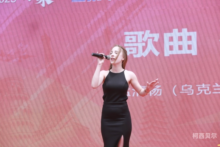 国产精品视频欧美激情专区，探索多元文化下的视听盛宴