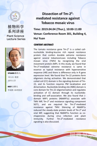 天美传媒TM，新闻资讯网站揭秘天美传媒Tm0093