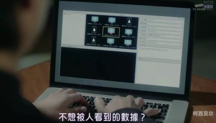 又爽又爽的黄片视频黄片视频盛宴，又爽又爽的视觉盛宴