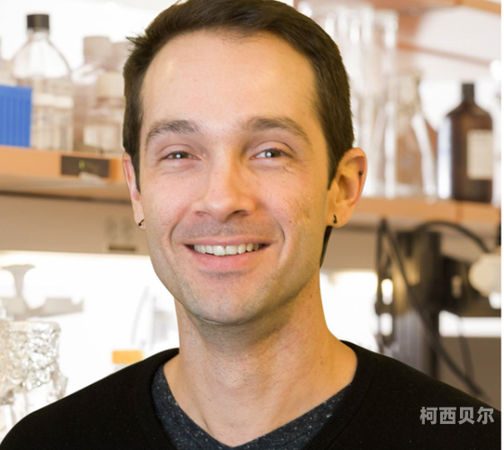 欧美扩大另类肠交粗大欧美另类肠交盛行，探索背后的文化与社交现象
