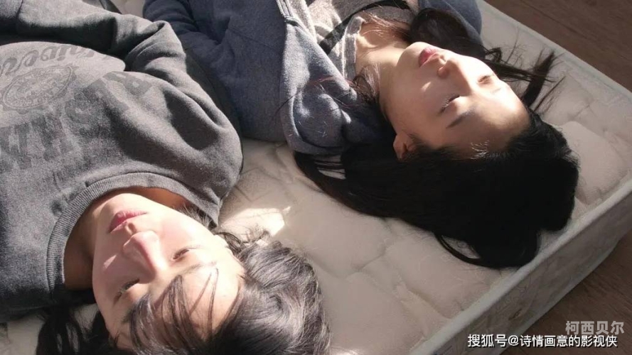 女同互慰在线观看，揭秘社交新风尚女同互斗