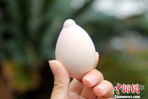 国产无遮挡又黄又爽奶头，探索高清图文资讯