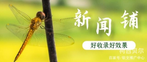 百度收录，新闻资讯网站角色设定——www.se868.com