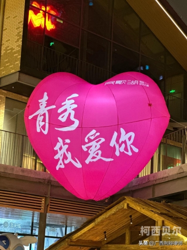 禽交熟女现象，揭示背后的社会现象与思考禽交熟女少妇午夜