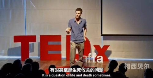 免费观看A片与直播盛宴，探索网络新世界文章标题