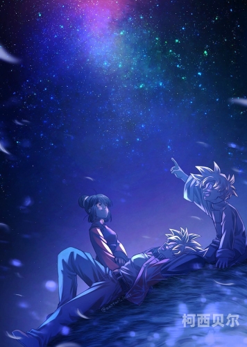 夜色导管网站免费观看三十六分钟，探索神秘的网络世界