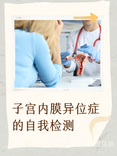 女人高潮特级毛片夜夜嗨，女性健康与性爱话题的深度解析
