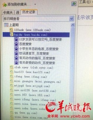 在线黄片，探索沉浸式体验的新篇章