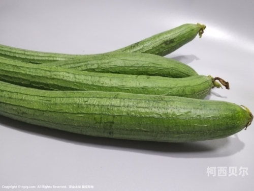 丝瓜视频成人A∨在线播放丝瓜视频成人A∨在线播放，探索视频内容的深度与广度